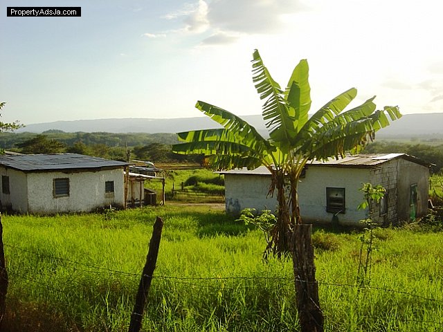 Land For Sale In St Elizabeth Jamaica