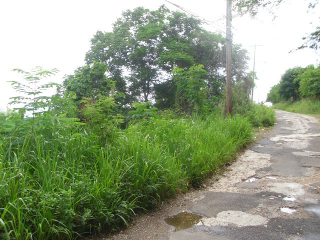 Residential Lot For Sale In Golden Acres Red Hills Kingston St