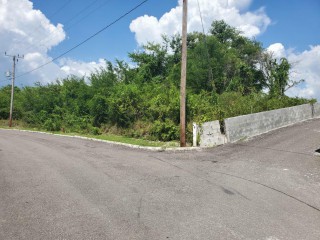 Residential Lot For Sale In Palmbrook Estate St Elizabeth Jamaica