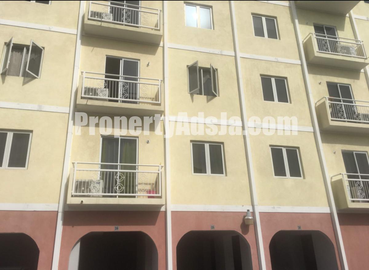 Apartment For Rent in Kingston 5, Kingston / St. Andrew Jamaica