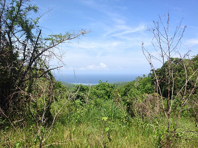 Commercial/farm land For Sale in Brampton, Trelawny Jamaica ...