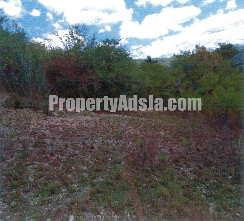 Residential Lot For Sale In Luana Pen St Elizabeth Jamaica 