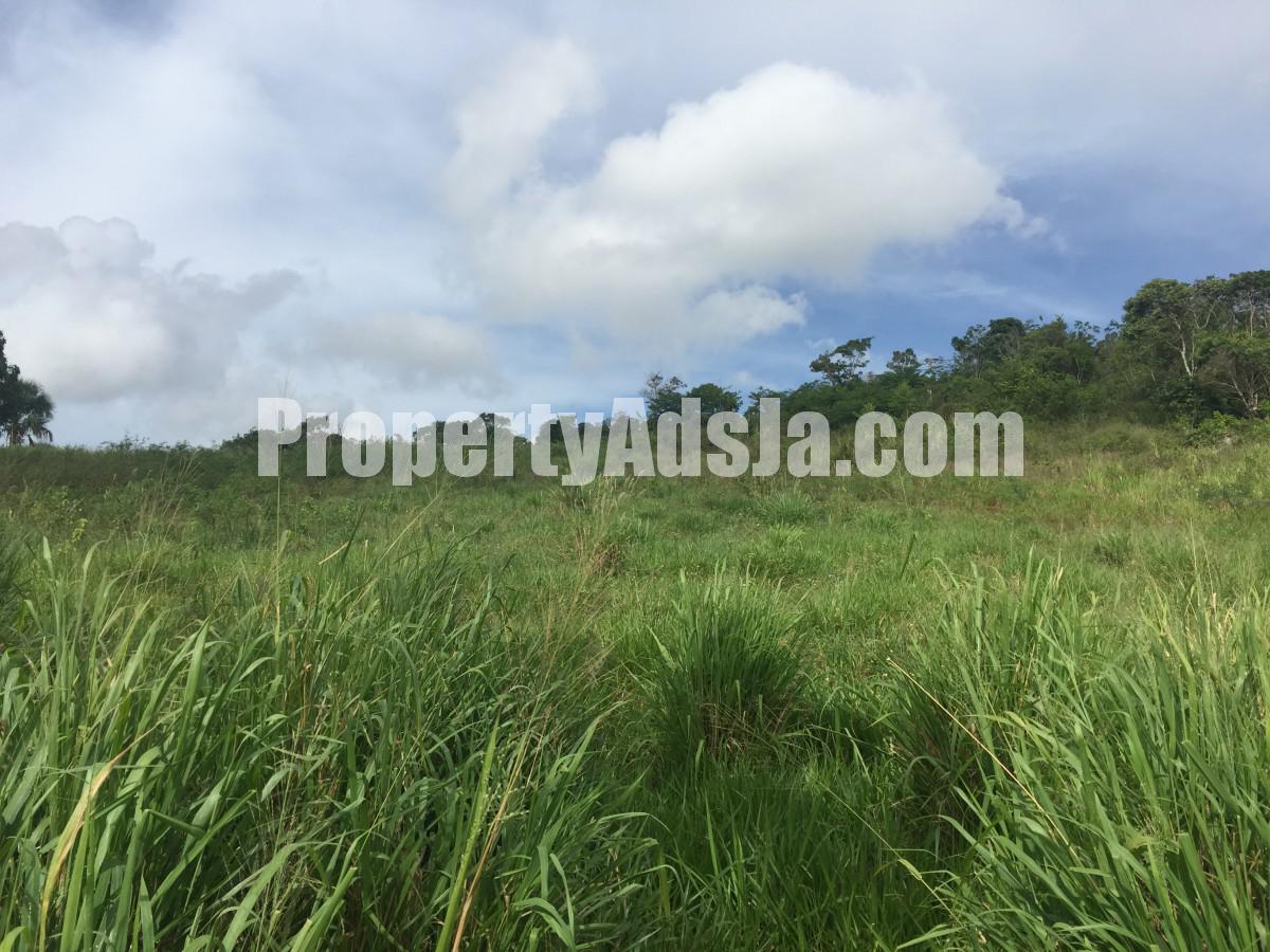 residential-lot-for-sale-in-southfield-st-elizabeth-jamaica