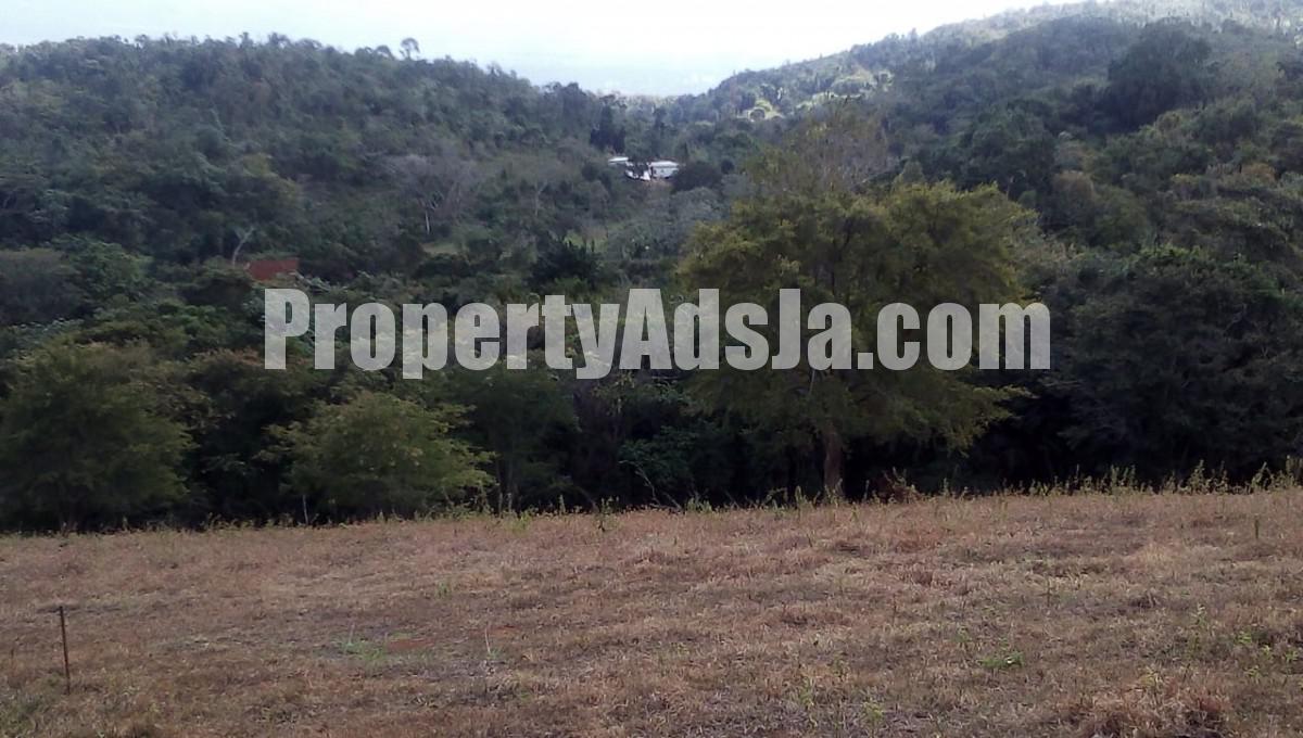 Residential Lot For Sale In Malvern St Elizabeth Jamaica 