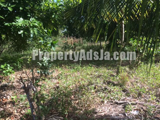 Residential lot For Sale in Danvers Pen, St. Thomas Jamaica ...