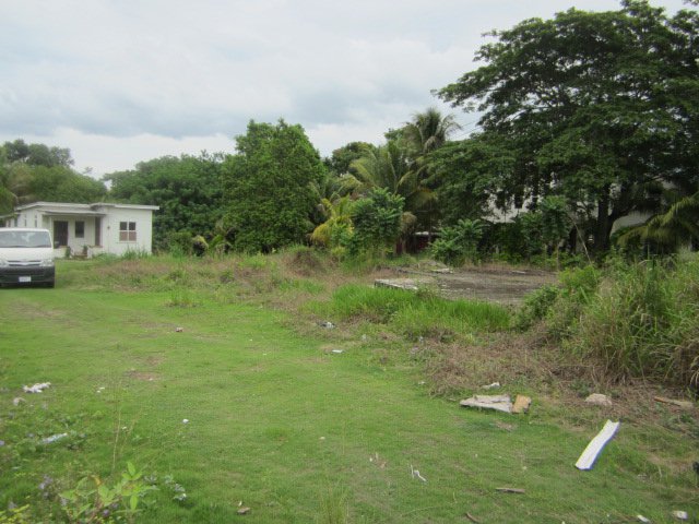 Commercial Farm Land For Sale In Santa Cruz, St. Elizabeth Jamaica 