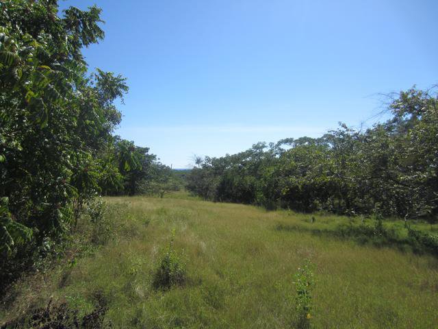 Residential lot For Sale in Font Hill, St. Elizabeth Jamaica ...