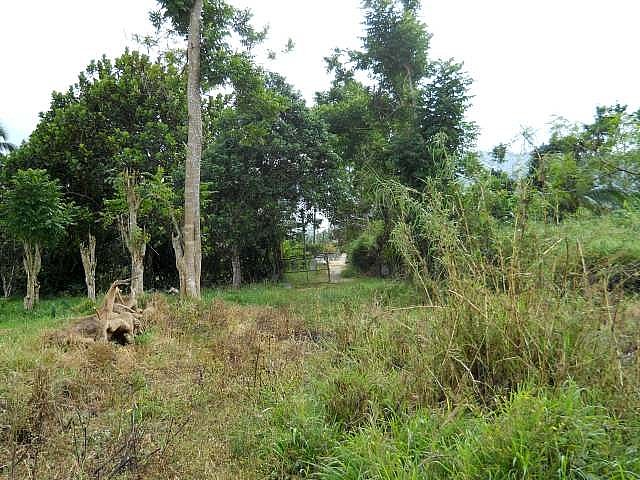 Commercial/farm land For Sale in Salisbury Plains, Kingston / St ...