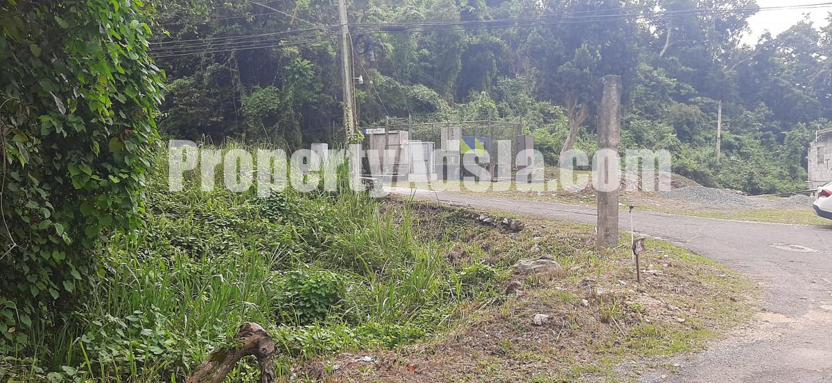 Residential lot For Sale in Coopers Hill Red Hills KGN 19, Kingston ...