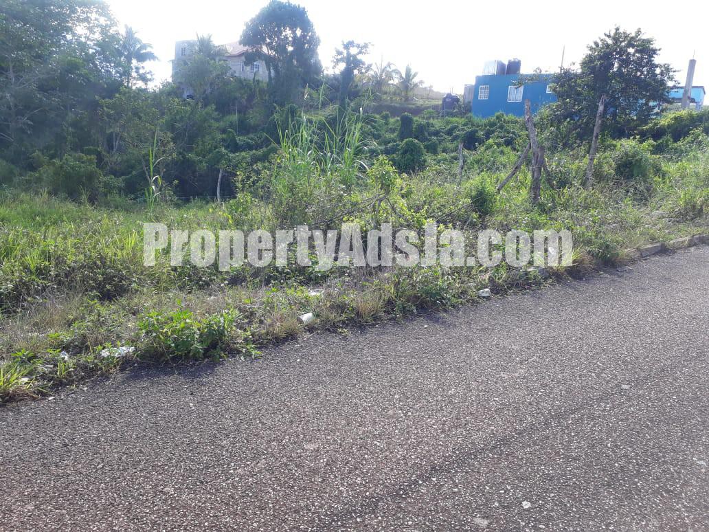 Residential lot For Sale in Knockpatrick, Manchester Jamaica ...