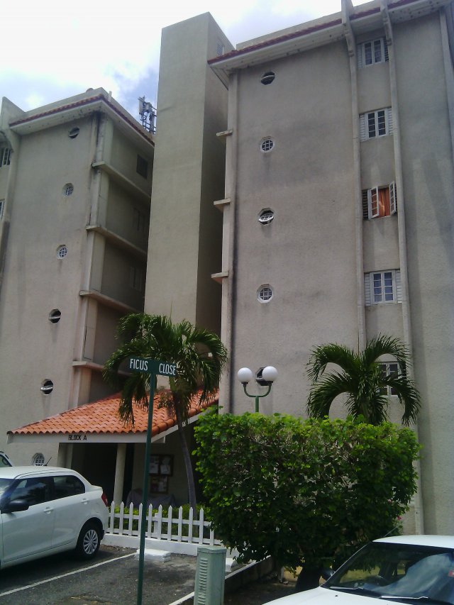 apartment-for-rent-in-oaklands-kingston-st-andrew-jamaica