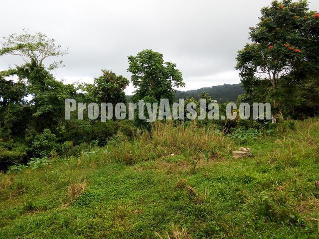 Commercial/farm land For Sale in Port Maria, St. Mary Jamaica ...