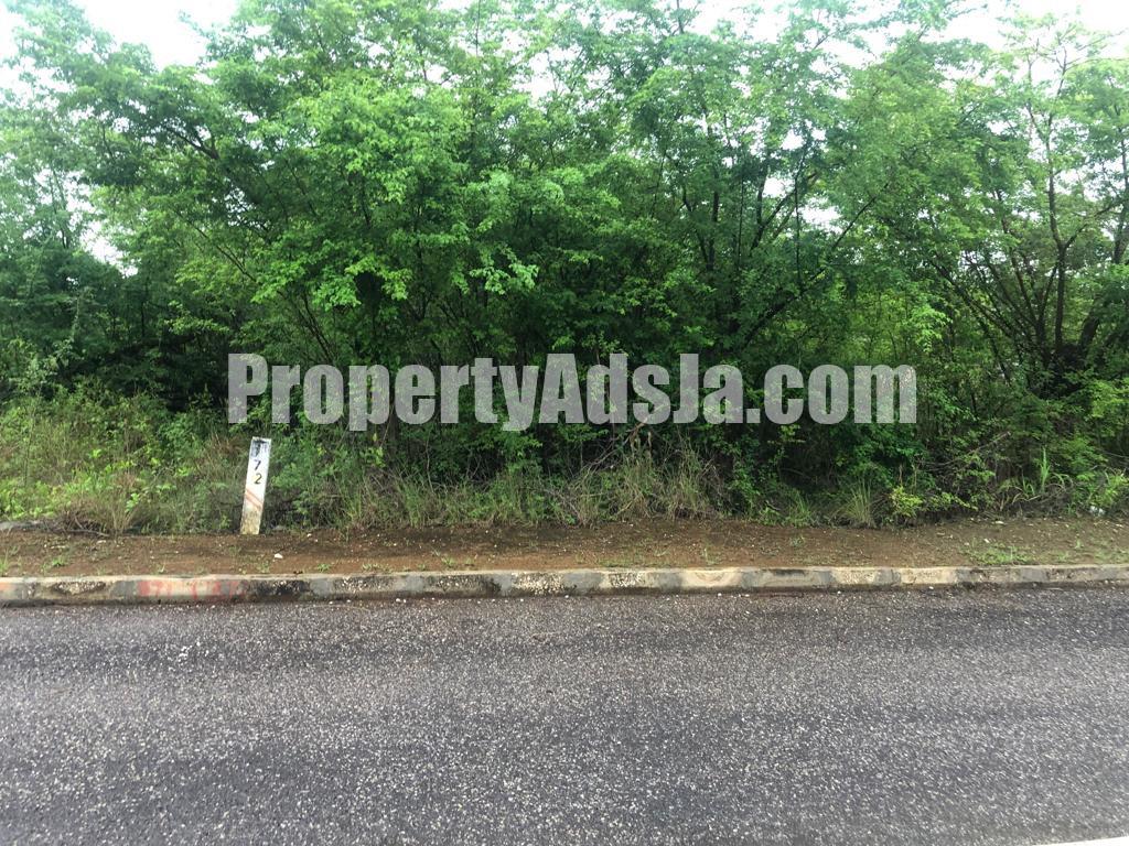 Residential Lot For Sale In Lacovia, St. Elizabeth Jamaica ...