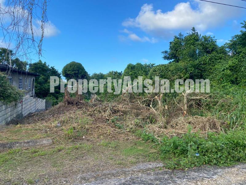 Residential lot For Sale in Industry Pen, St. Mary Jamaica