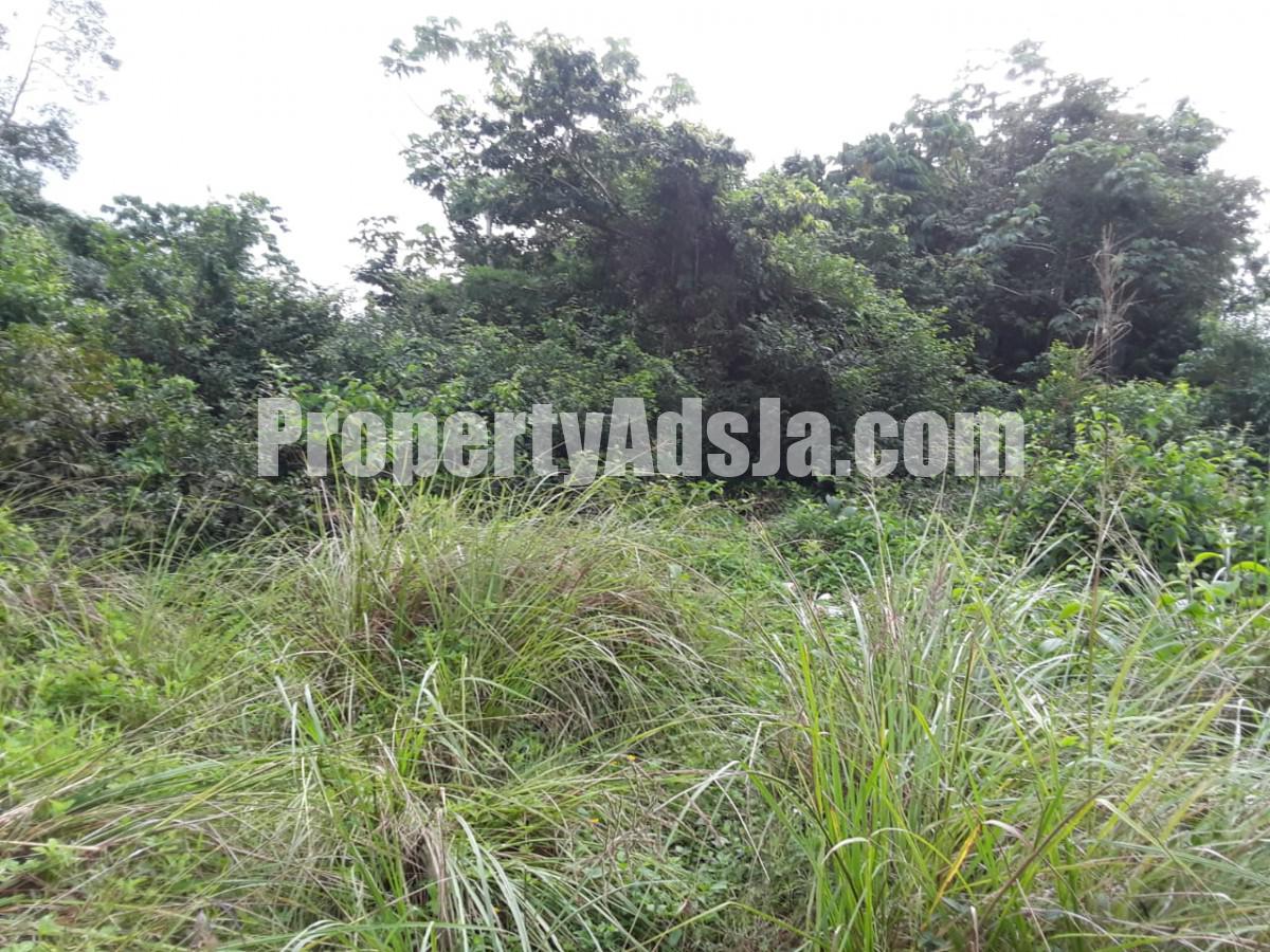 Residential lot For Sale in Black Hill, Portland Jamaica ...