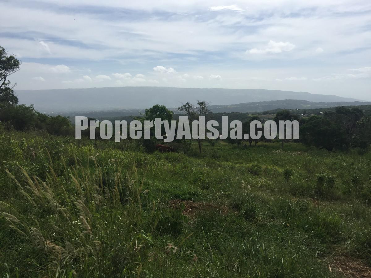 residential-lot-for-sale-in-southfield-st-elizabeth-jamaica