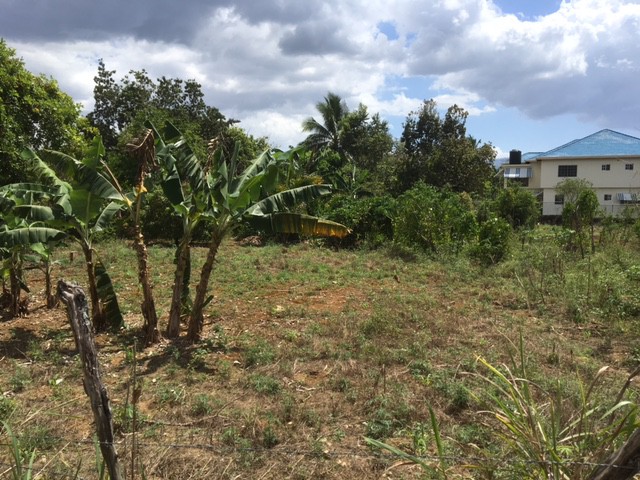 Residential lot For Sale in Ridgeview Drive, St. Elizabeth Jamaica ...