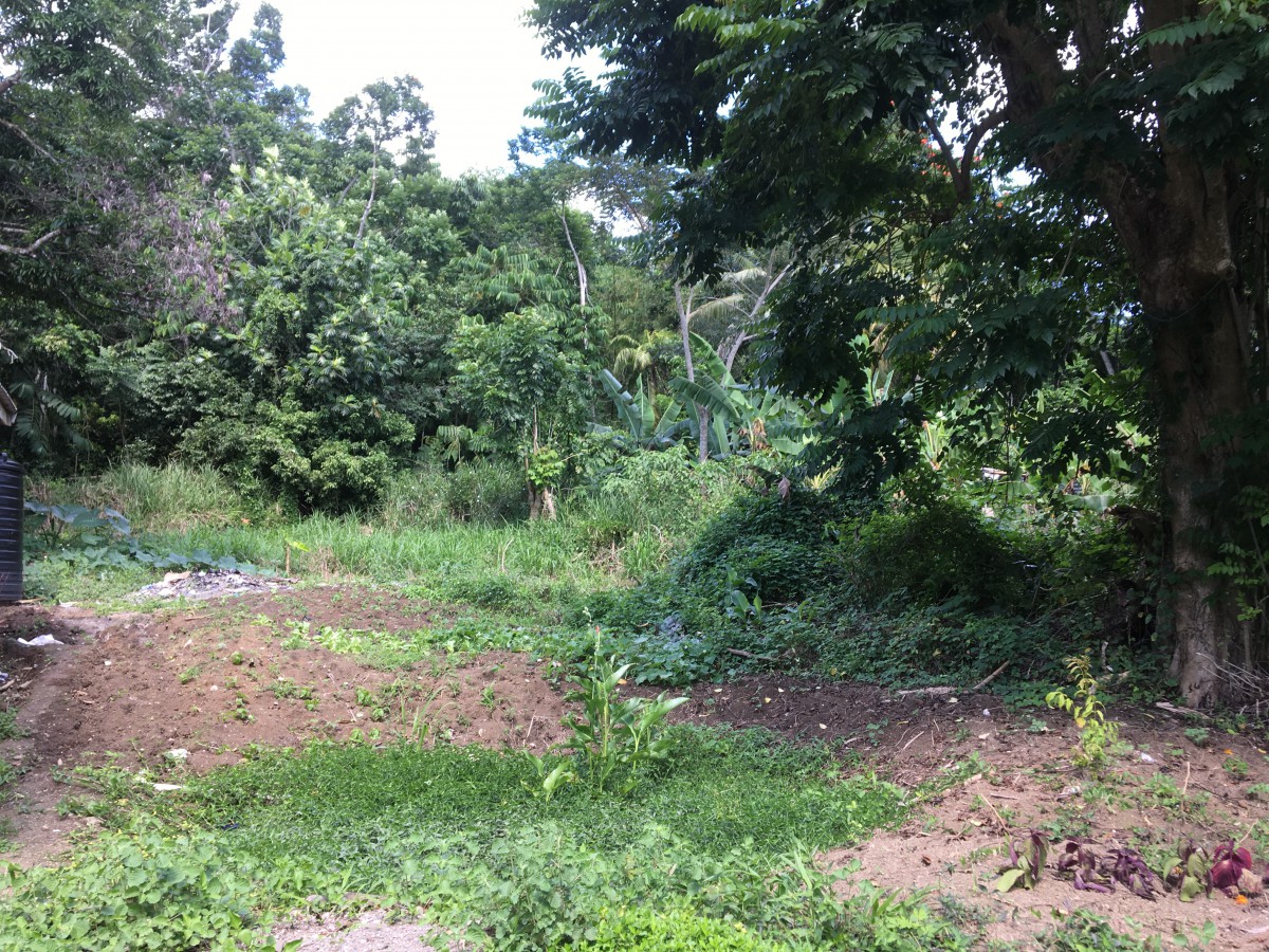 Residential Lot For Sale In Port Maria, St. Mary Jamaica 