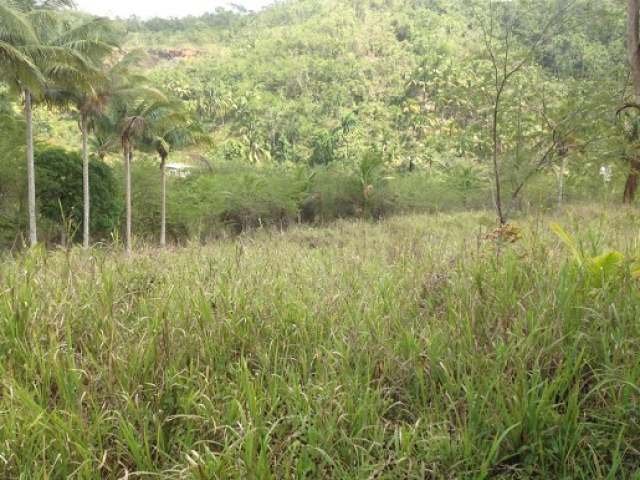 Commercial/farm land For Sale in Bog Walk, St. Catherine Jamaica ...