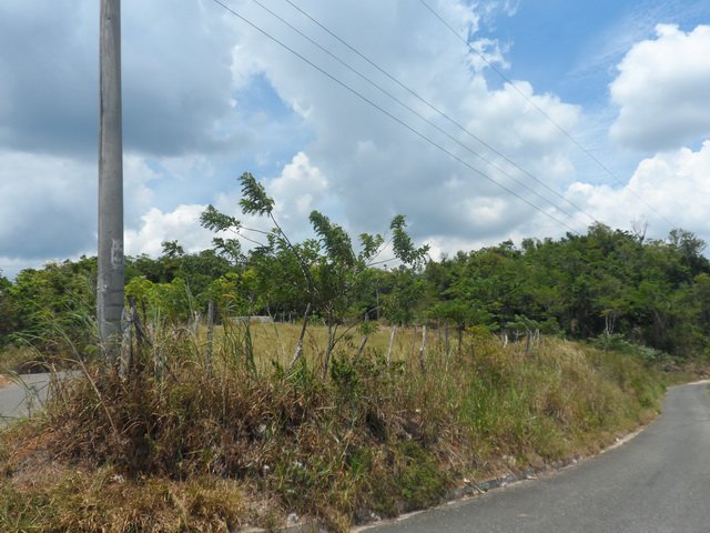 Residential lot For Sale in Manchester, Manchester Jamaica ...