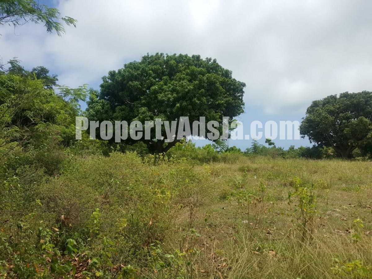 Residential lot For Sale in St Elizabeth, St. Elizabeth Jamaica