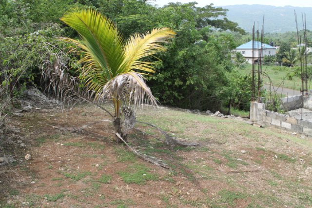 House For Sale in Ewarton, St. Catherine Jamaica | PropertyAdsJa.com