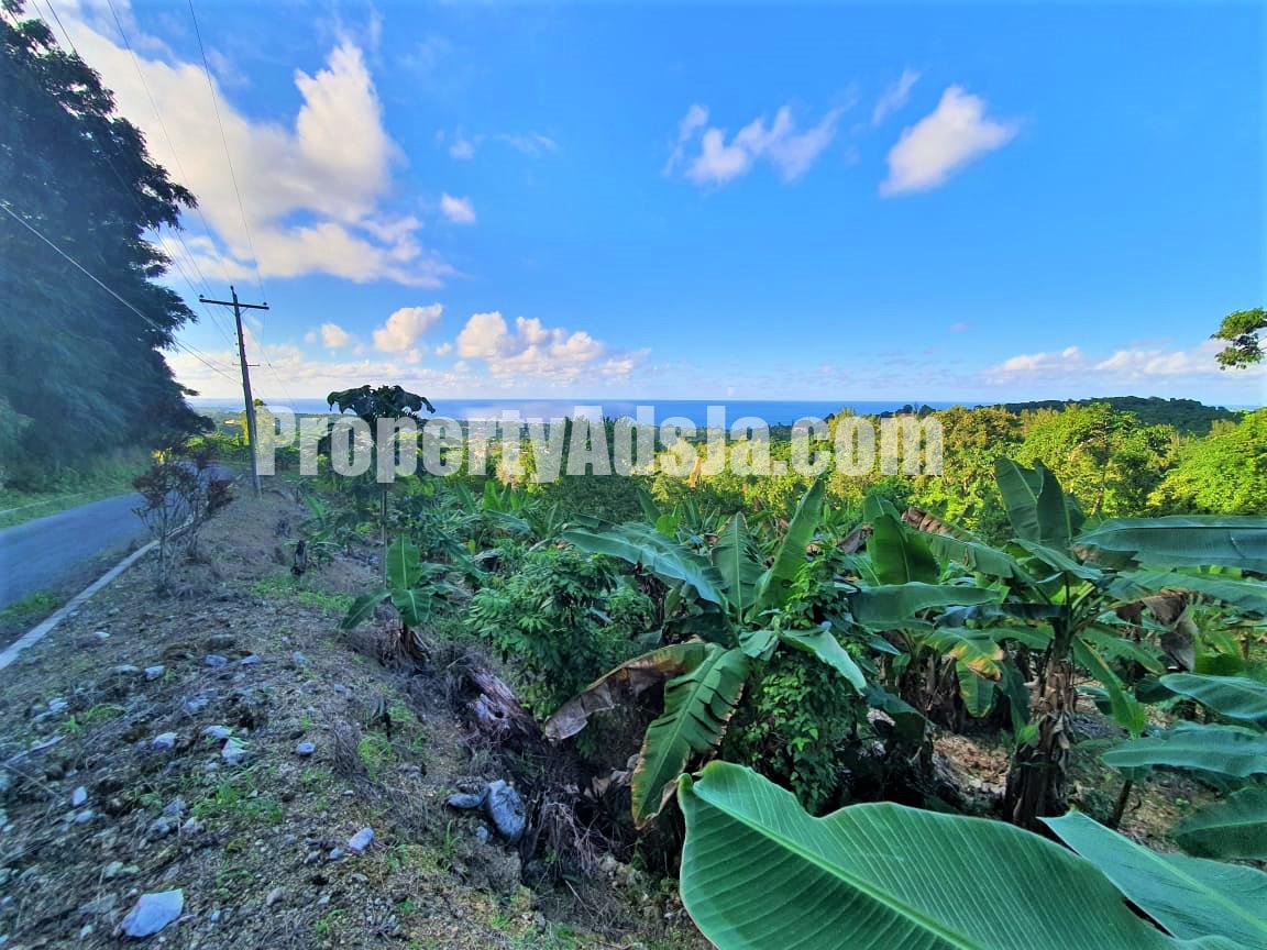 Residential lot For Sale in Cardiff Hall, St. Ann Jamaica