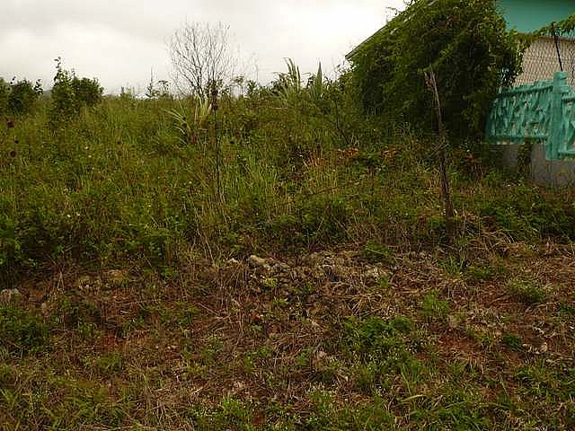 Residential lot For Sale in red bank, Manchester Jamaica ...