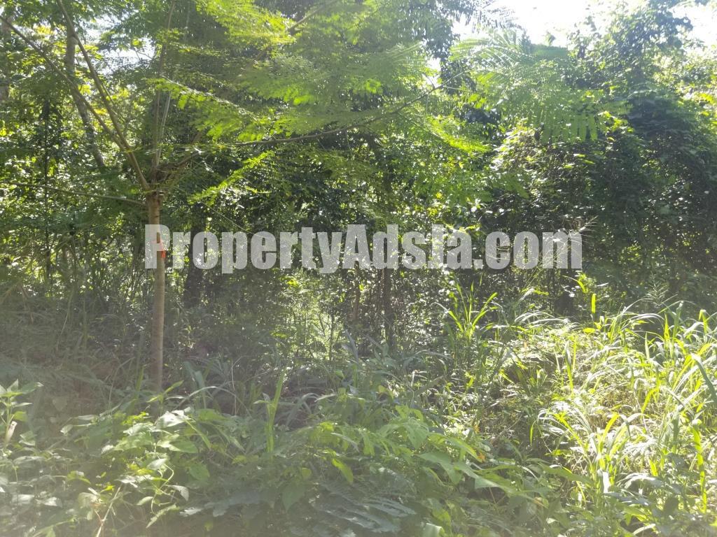 Residential lot For Sale in Woodland Heights, Kingston / St. Andrew ...