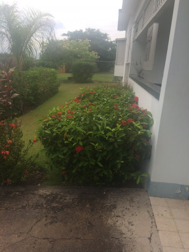 House For Sale in HOPE PASTURES, Kingston / St. Andrew Jamaica