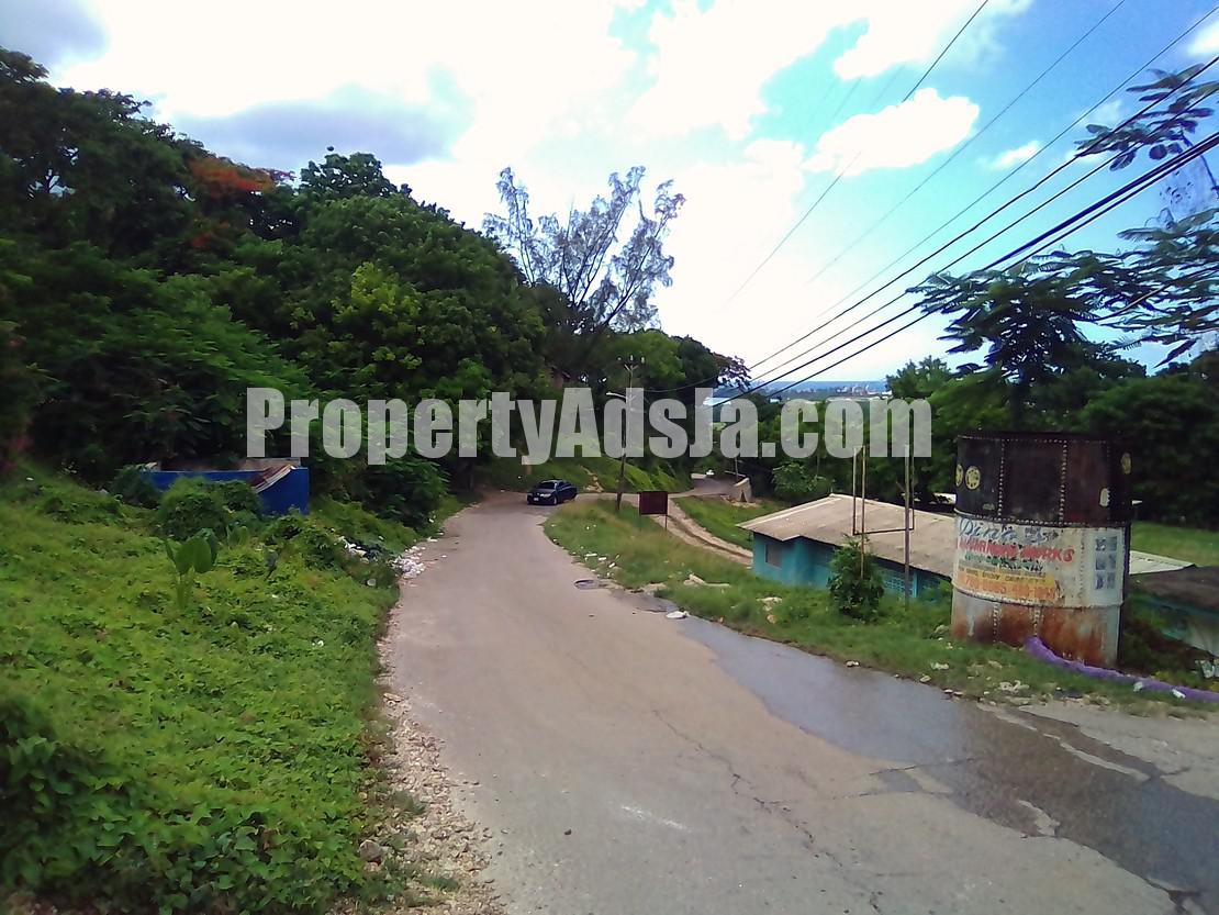 Commercial/farm land For Sale in maivern, St. Elizabeth Jamaica