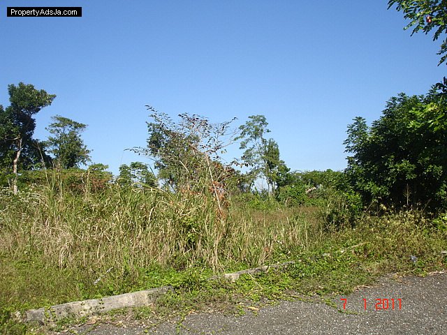 Residential lot For Sale in Huddersfield close to Rio Nuevo, St. Mary ...