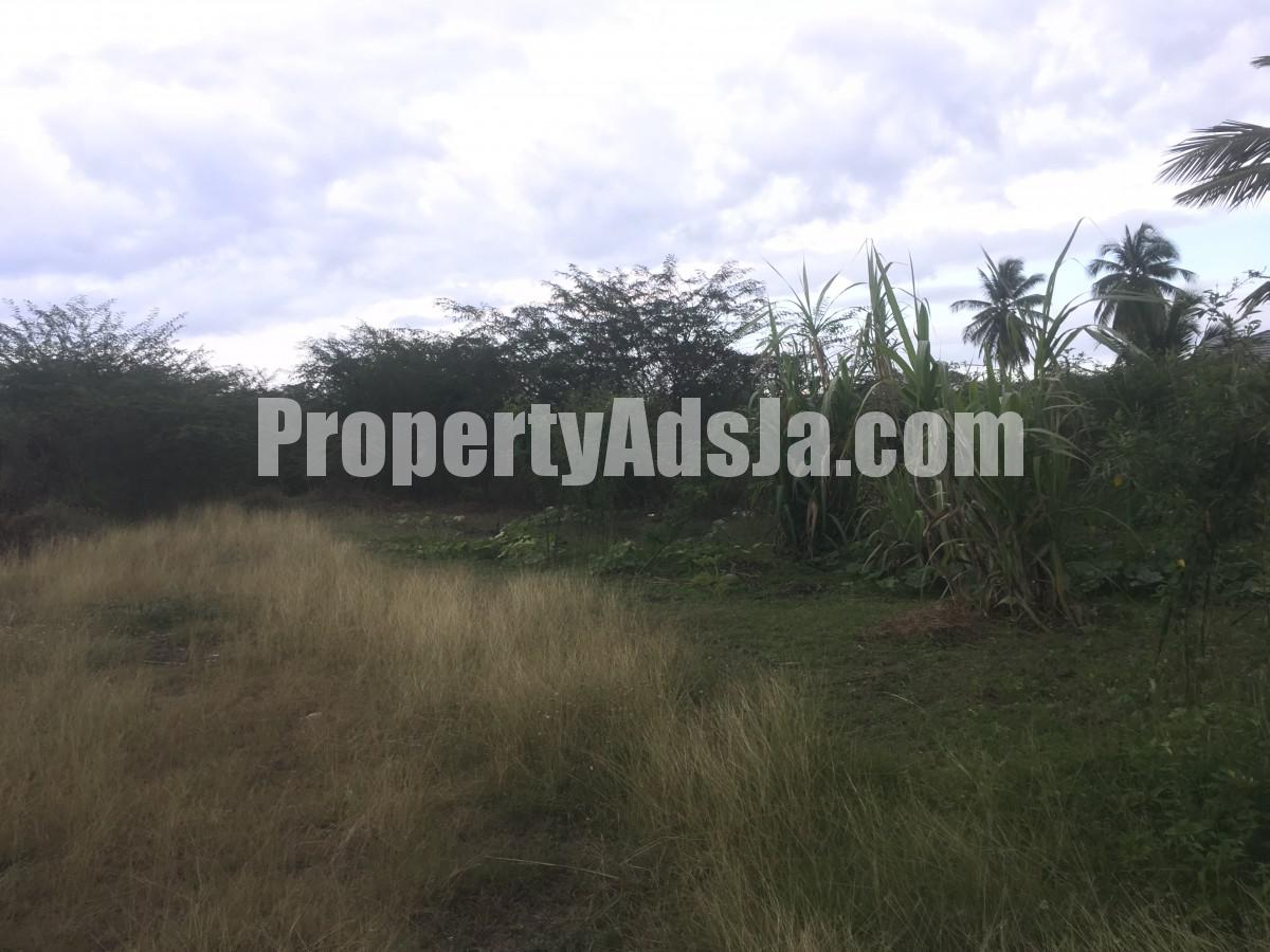 Commercial/farm land For Sale in Clarendon, Clarendon Jamaica