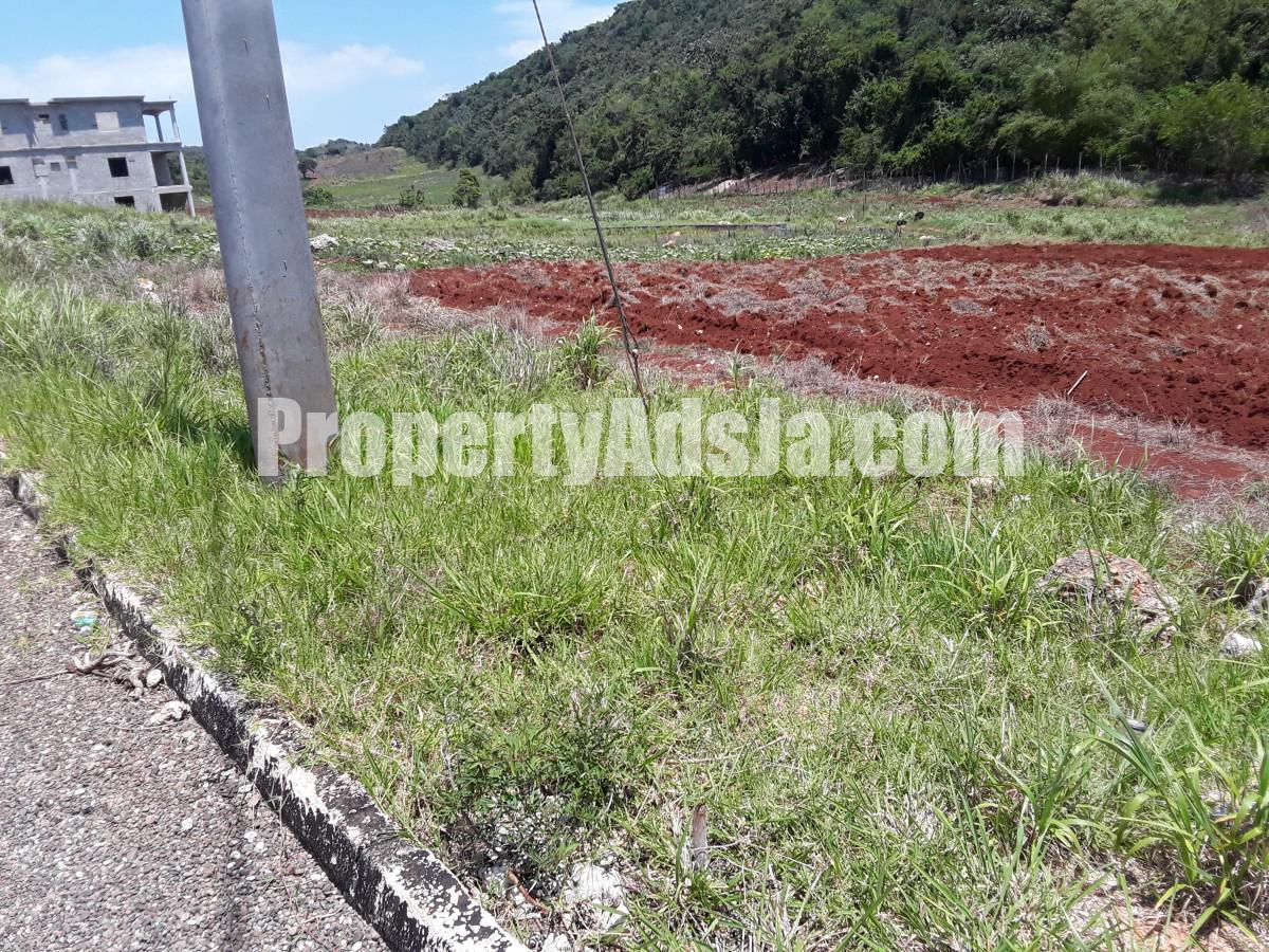 Residential lot For Sale in Southfield, St. Elizabeth Jamaica ...