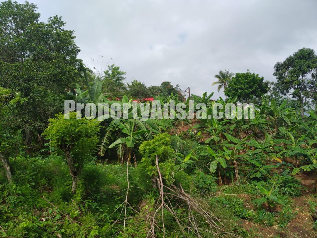 Residential lot For Sale in Ewarton, St. Catherine Jamaica ...