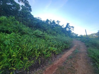 Residential lot For Sale in Mandeville, Manchester Jamaica | [1]