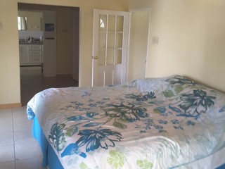 Apartment For Rent in New Kingston Half Way Tree, Kingston / St. Andrew Jamaica | [4]