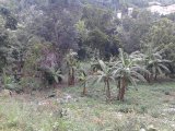 Residential lot For Sale in Belvedere Red Hills, Kingston / St. Andrew Jamaica | [1]