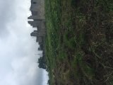 Commercial/farm land For Sale in LILYFIELD BAMBOO, St. Ann Jamaica | [1]