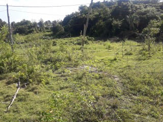 Residential lot For Sale in Longwood, St. Elizabeth Jamaica | [3]