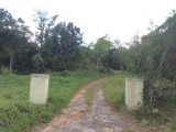 Residential lot For Sale in Mandeville, Manchester Jamaica | [6]