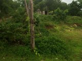 Residential lot For Sale in Balaclava, St. Elizabeth Jamaica | [5]