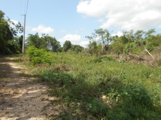 Land For Sale in Rosewell, Clarendon, Jamaica