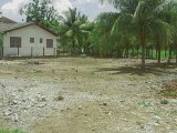 Residential lot For Sale in Georges Plain, Westmoreland Jamaica | [3]