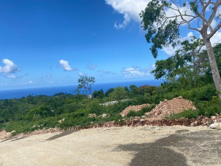 Residential lot For Sale in Three Hills, St. Mary Jamaica | [2]