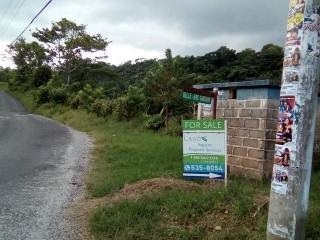 Residential lot For Sale in Williamsfield, Manchester Jamaica | [3]