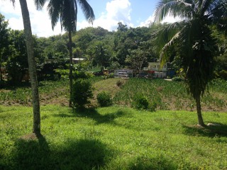 Commercial/farm land For Sale in Port Antonio, Portland Jamaica | [1]