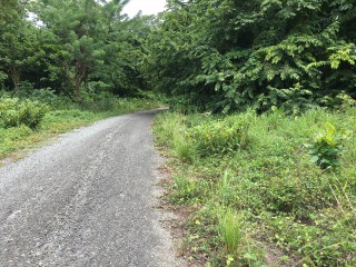 Residential lot For Sale in Fairy Hill, Portland Jamaica | [6]