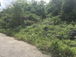 Residential lot For Sale in Albion Estates, Manchester Jamaica | [5]