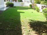 House For Sale in Lucea, Hanover Jamaica | [3]